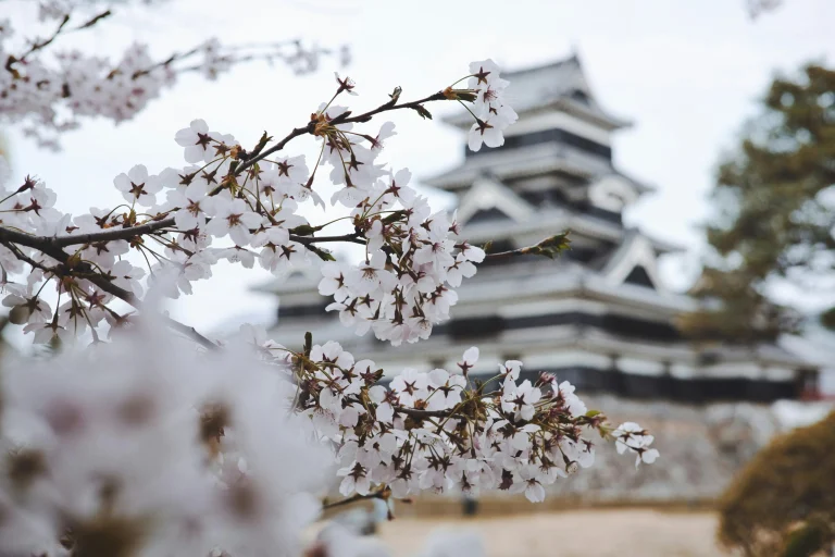 Planning LAX to Tokyo? Nonstop flights take 11-12 hours to NRT or HND. Get real tips on timing, airlines, and surviving the journey. Discover your Japan gateway.